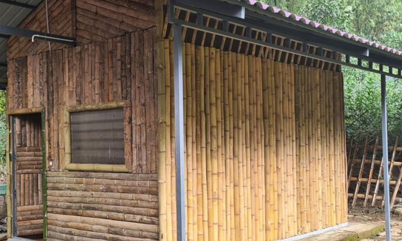 Bamboo Hut
